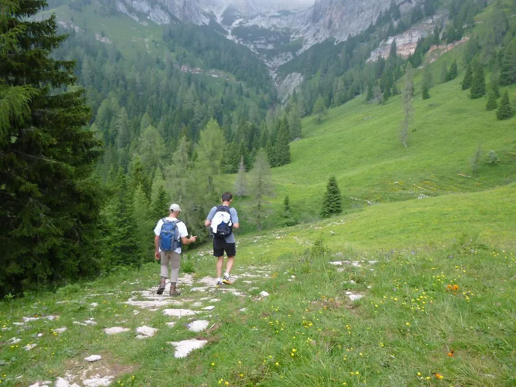 B&B Terra E Nubi 0*, Santa Giustina (Belluno) Italie